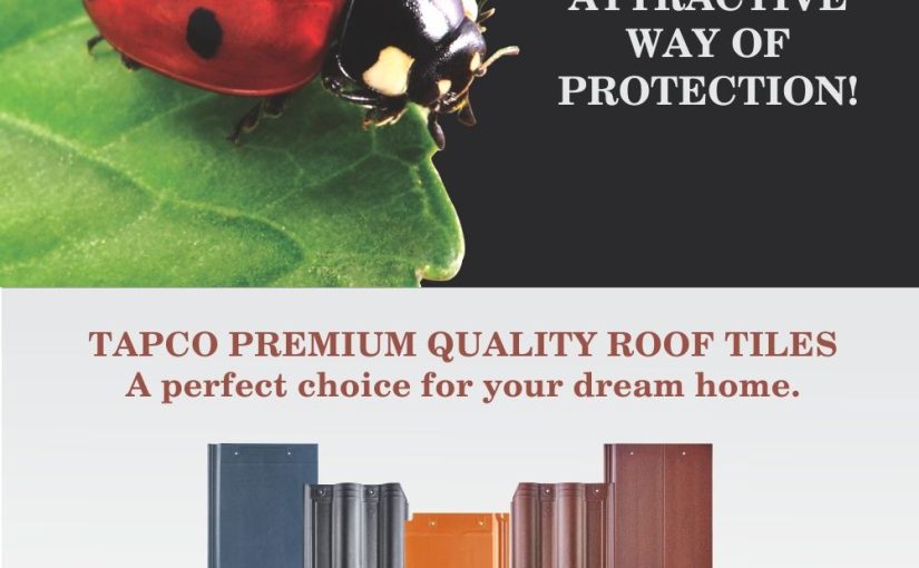 Natural Clay Roof Tiles